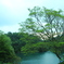 五色沼の朝