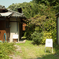 IMG_2110_Shuzenji
