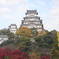 DSC00501