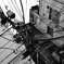 utility pole