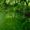 Green Lake