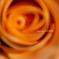 The world of macro　NO.10