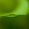 The world of macro　NO.2
