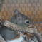 DSC01541