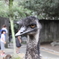 精悍