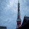 増上寺＆東京タワー①