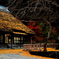 黄葉の金言寺