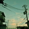 CSC_0199