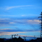 電線と青い夕暮れ