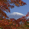富士山の旅・2009
