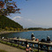 秋の散歩･2009