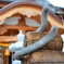 白ヘビと神社と