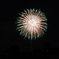 たまがわ花火大会　0596