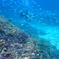 P8040066