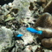 P8050046