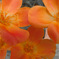 IMGP1724-43-20140821