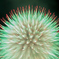 HANABI-2