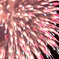 HANABI-4