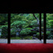 正暦寺 -奈良-