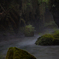 Rainy Valley