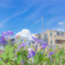 夏バテ