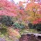 2009京都の紅葉《瑠璃光院02》