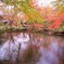 2009京都の紅葉《曼殊院》
