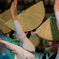 高円寺阿波踊り1