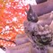 2009京都の紅葉《鬼瓦02》