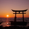 夕日と鳥居
