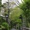 Syuzenji Hot Springs