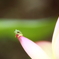 おはよう