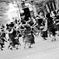 躍動