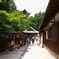 清水寺の・・・
