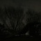 夜中の公園