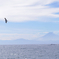 相模湾と富士山
