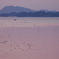 夜明けの海