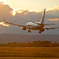 737