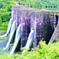豊稔池堰堤