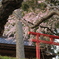 交わる朱