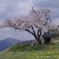 春の原風景
