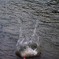 水しぶき