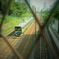 電車