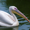 20140831_115509_K-5-2