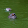20140831_123632_K-5