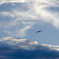 sky in august