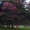 R0011848