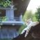 屋根の上から
