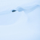 雪原2