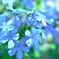 庭の芝生から